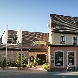 5 Tage Weihnachten im fränkischen Weinland – Wellness in Dettelbach (4 Sterne) (Franken)  inkl. Halbpension