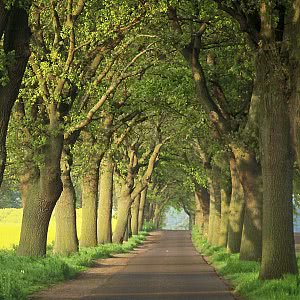 4 Tage Natur pur an der Müritz – Wellness in Waren / Müritz (4 Sterne) (Mecklenburg. Seenplatte)  inkl. Halbpension