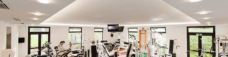 Im Fitnessstudio den Krper sthlen