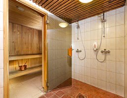 Blick in eine Privat-Sauna