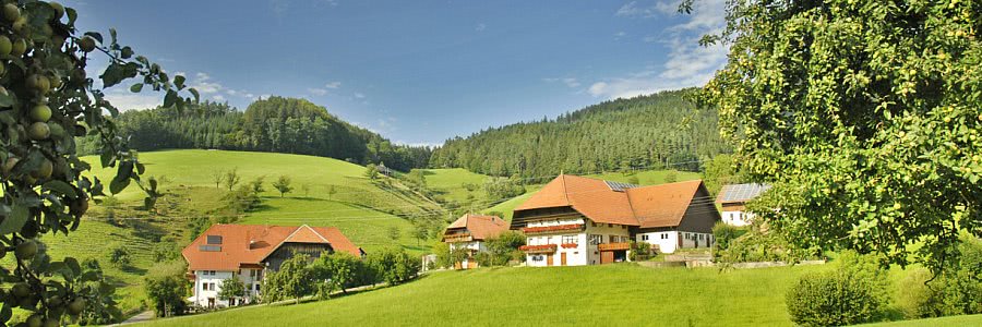 Urlaub in Baden-Württemberg