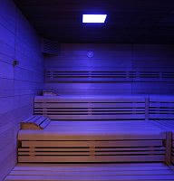 Sauna- und Wellnessbereich